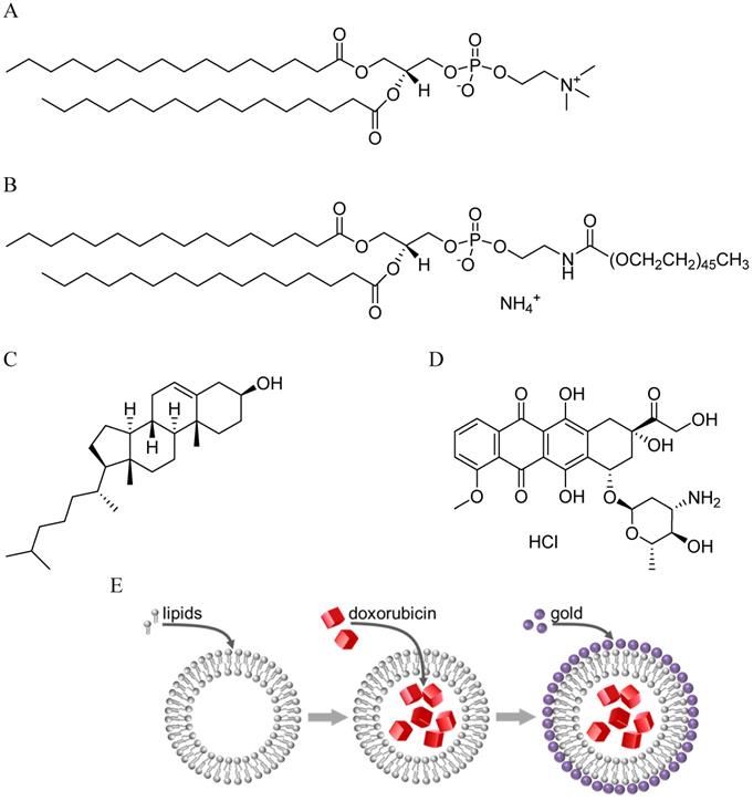 Nanotheranostics Image