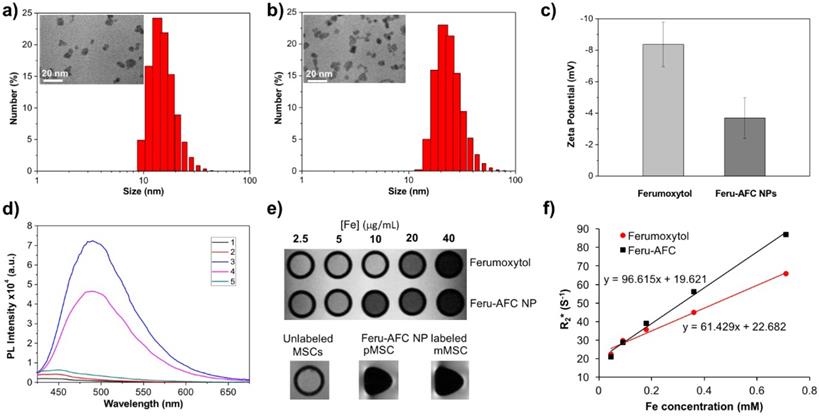 Nanotheranostics Image