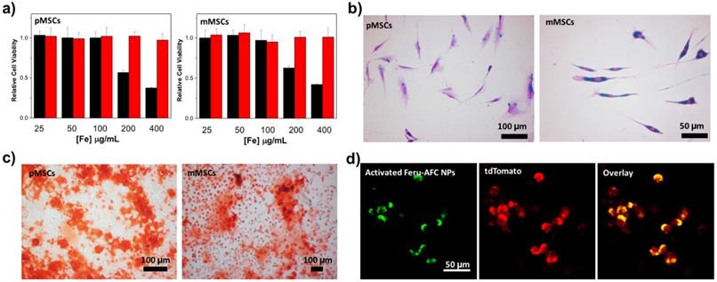 Nanotheranostics Image