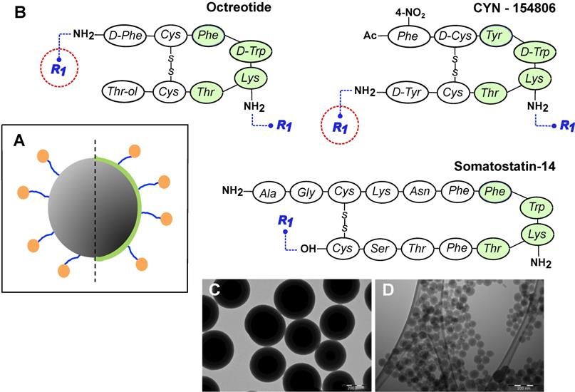 Nanotheranostics Image