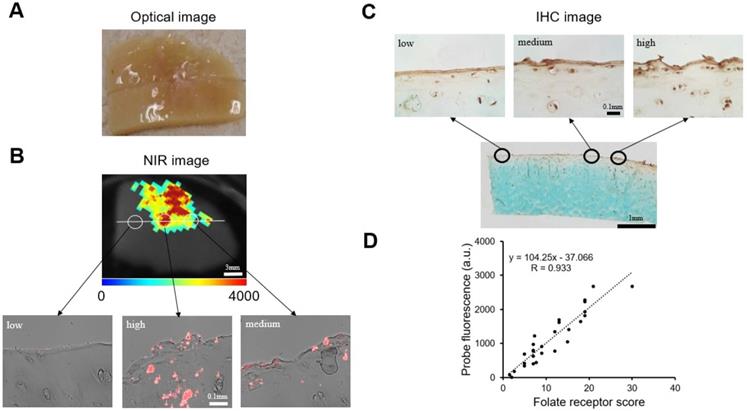 Nanotheranostics Image