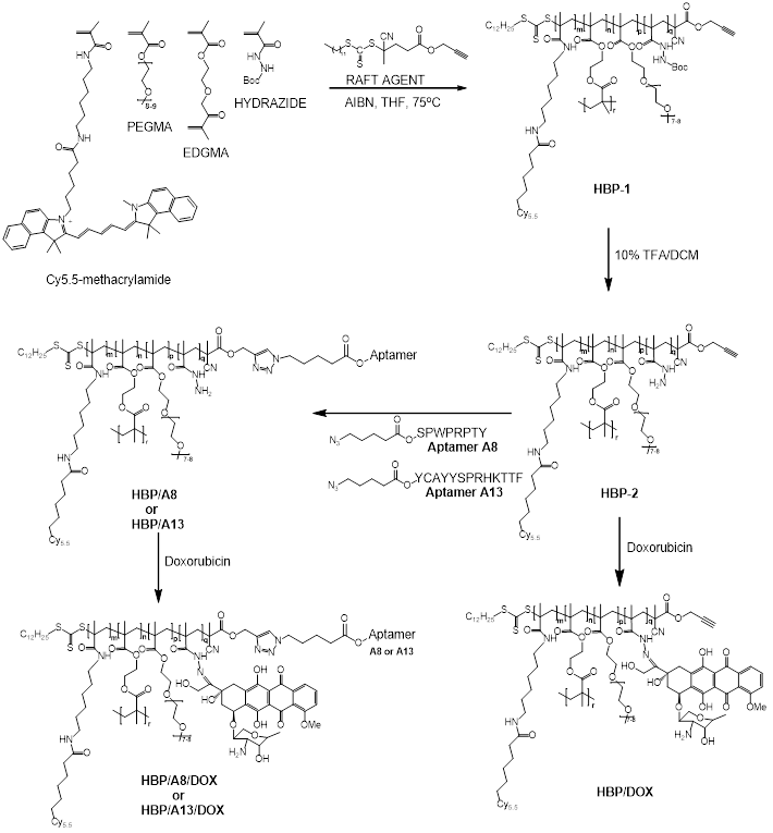 Nanotheranostics Image