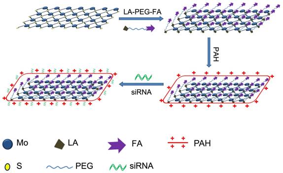 Nanotheranostics Image