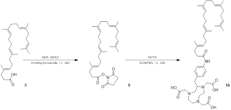 Nanotheranostics Image