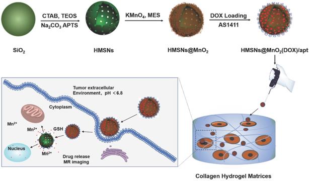 Nanotheranostics Image