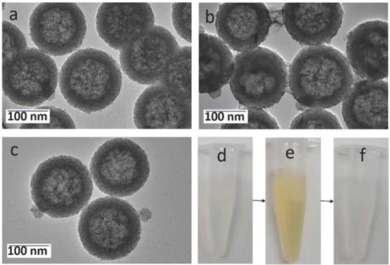 Nanotheranostics Image