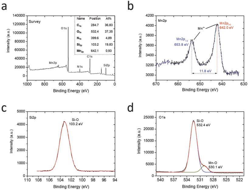 Nanotheranostics Image