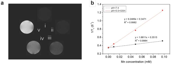 Nanotheranostics Image