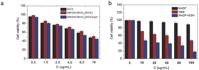 Nanotheranostics Image