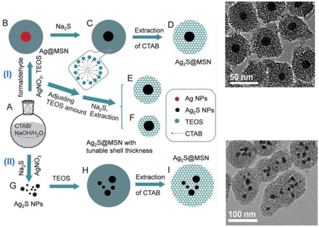 Nanotheranostics Image