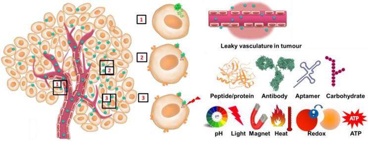 Nanotheranostics Image