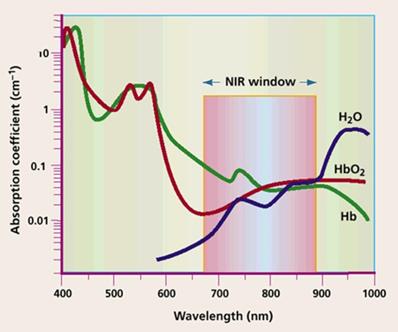 Nanotheranostics Image