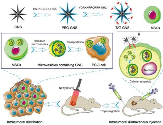 Nanotheranostics Image