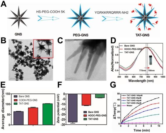 Nanotheranostics Image