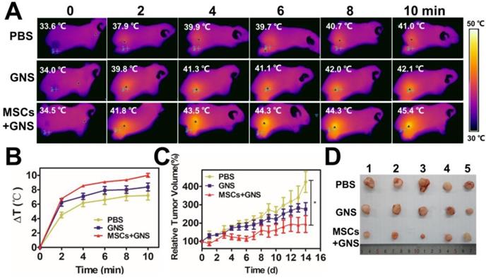 Nanotheranostics Image