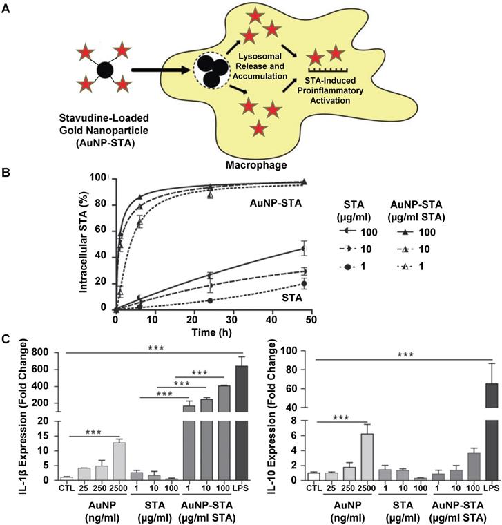 Nanotheranostics Image