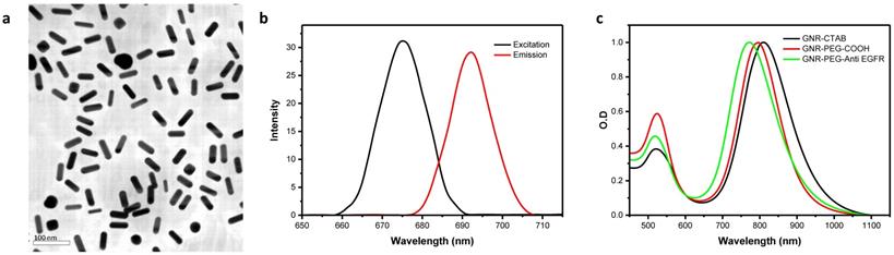 Nanotheranostics Image