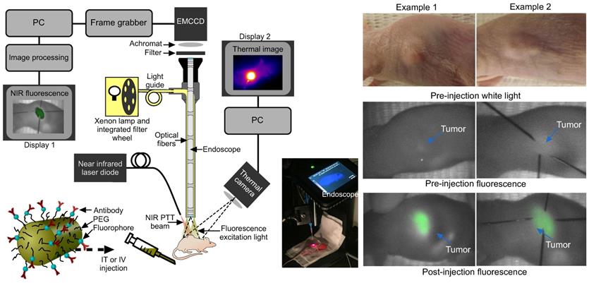 Nanotheranostics Image