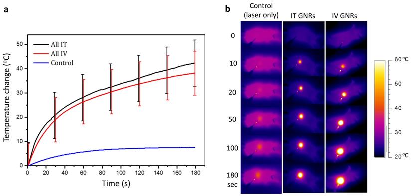 Nanotheranostics Image