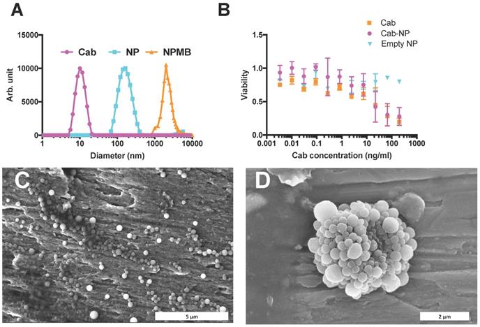 Nanotheranostics Image