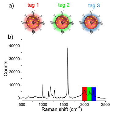 Nanotheranostics Image