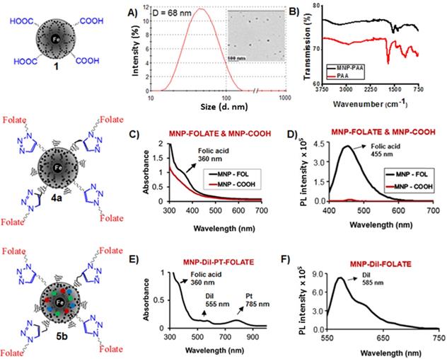 Nanotheranostics Image