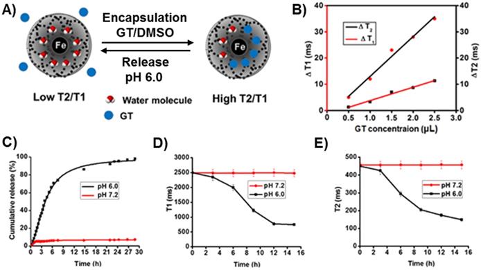 Nanotheranostics Image