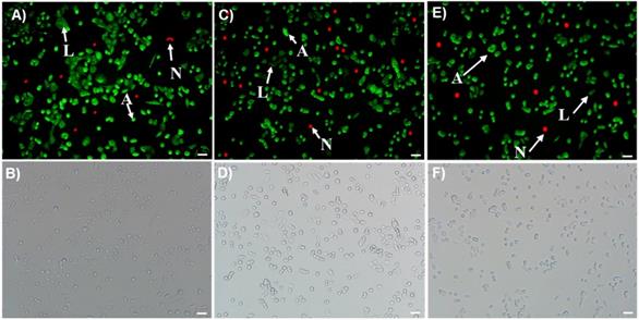 Nanotheranostics Image