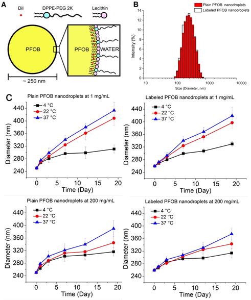 Nanotheranostics Image