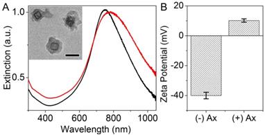 Nanotheranostics Image