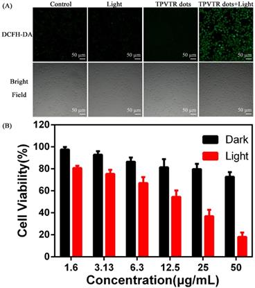 Nanotheranostics Image