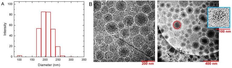 Nanotheranostics Image