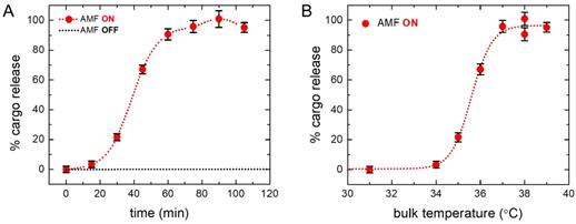 Nanotheranostics Image