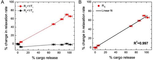 Nanotheranostics Image