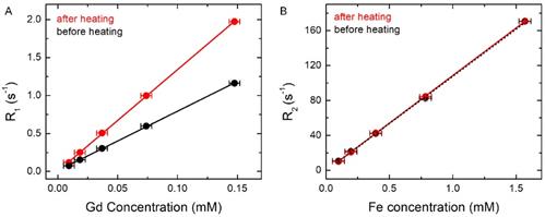 Nanotheranostics Image