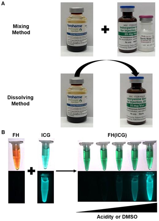 Nanotheranostics Image