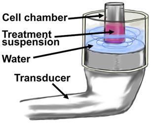 Nanotheranostics Image