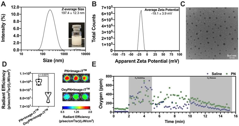 Nanotheranostics Image