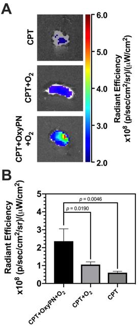 Nanotheranostics Image