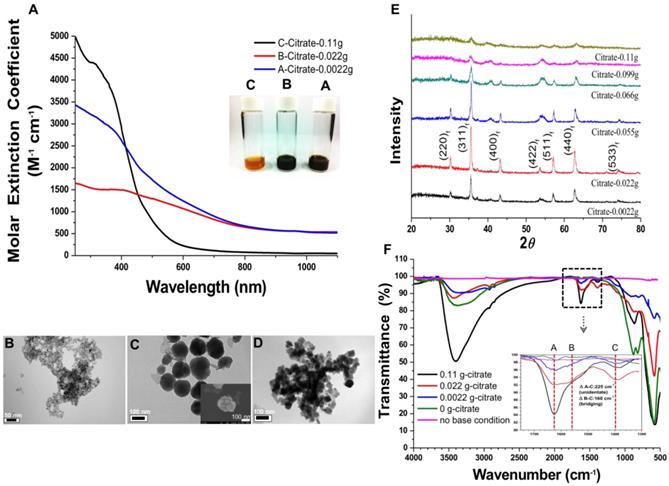 Nanotheranostics Image