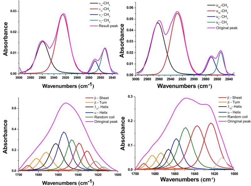 Nanotheranostics Image