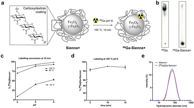 Nanotheranostics Image