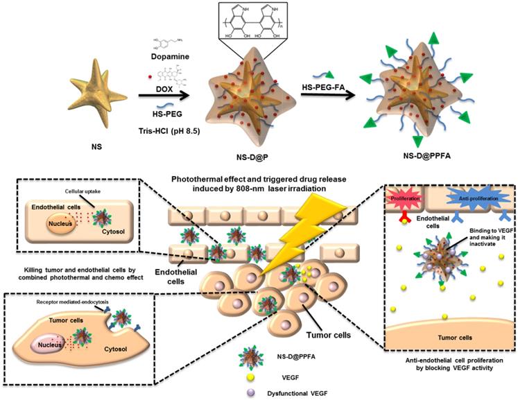 Nanotheranostics Image