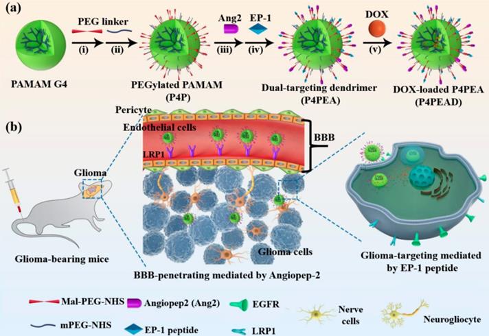 Nanotheranostics Image