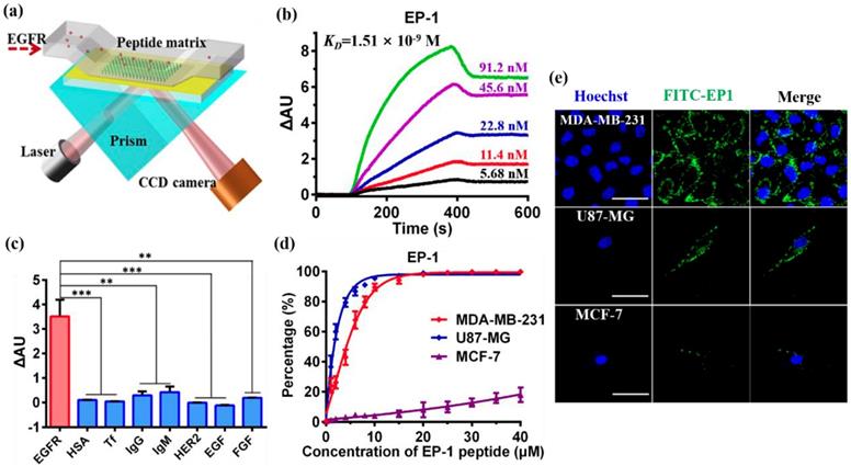 Nanotheranostics Image