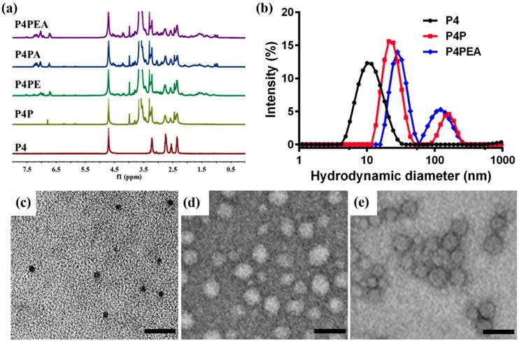 Nanotheranostics Image