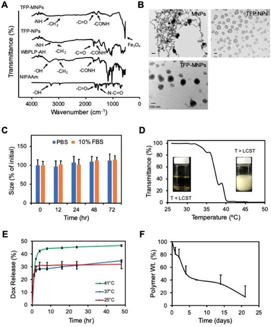 Nanotheranostics Image