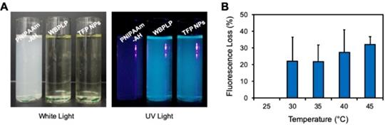 Nanotheranostics Image