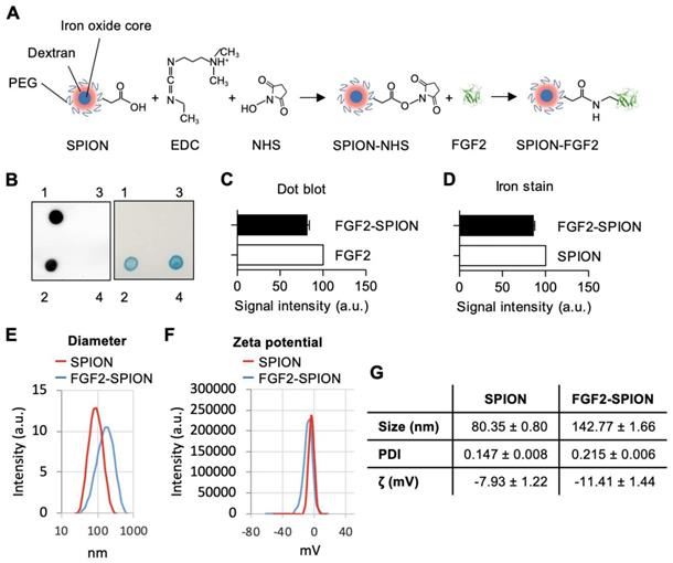 Nanotheranostics Image