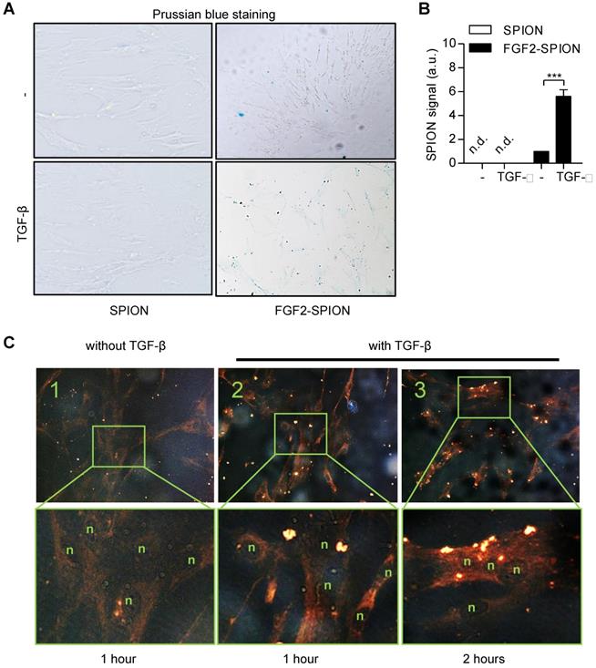 Nanotheranostics Image